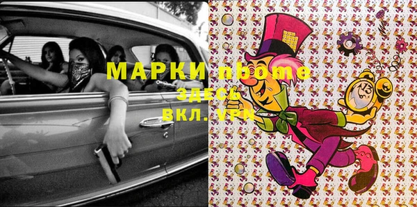 мет Алексин