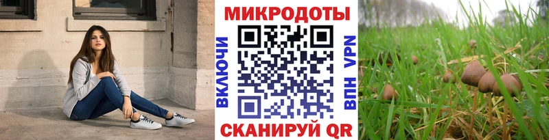 Галлюциногенные грибы мицелий  купить наркотик  Завитинск 